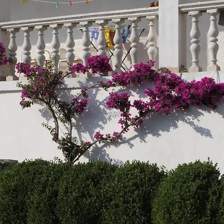 6587b * Starigrad Paklenica