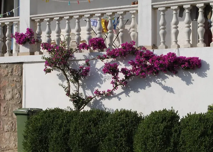 6587b * Starigrad Paklenica